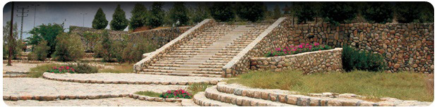 درباره پایاهور